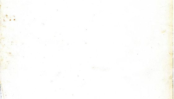thumbnail of Notes on Elizabeth Artis Death
