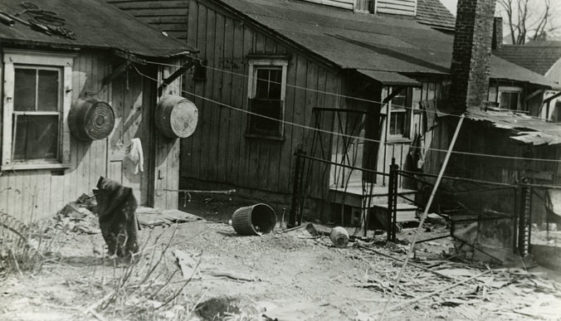 Photo of -Slum- Housing (Photo- Samuel Epstein)